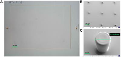 Filling model of oil and polar liquid for electrowetting displays based on phase change